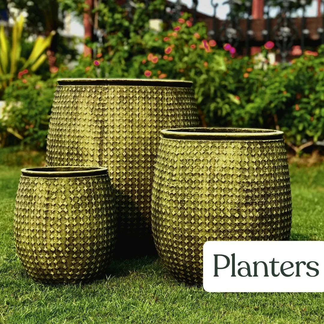 Designer Planters
