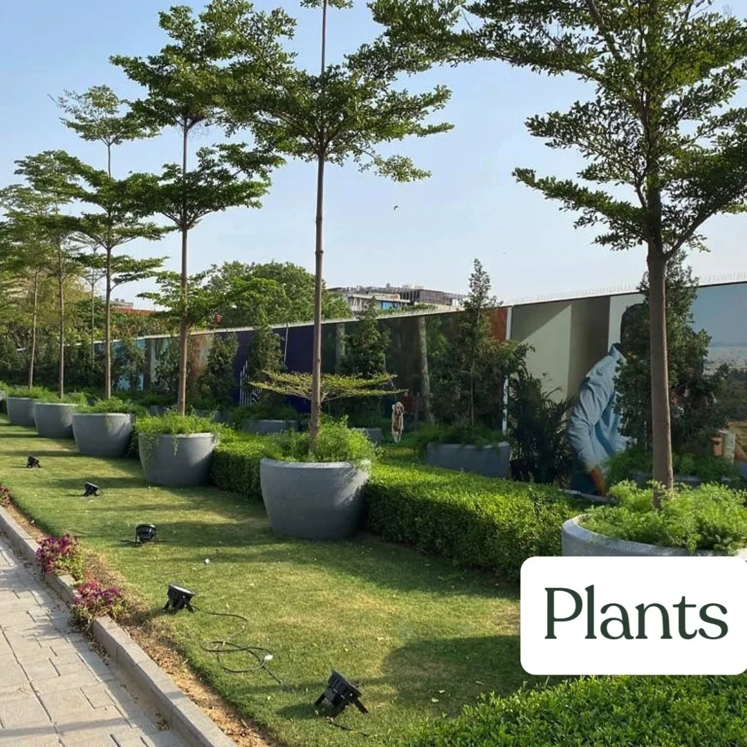 Plant Curation & Supply