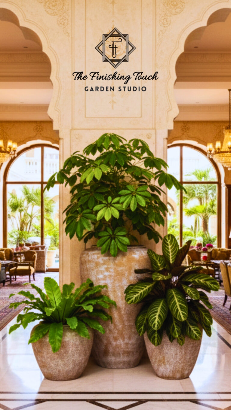 The Final Signature: Elevating Your Space with The Finishing Touch