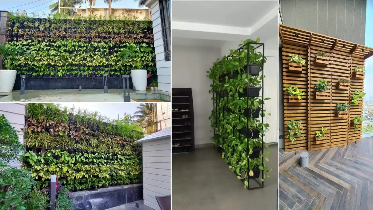 Green Wall / Vertical Garden Design