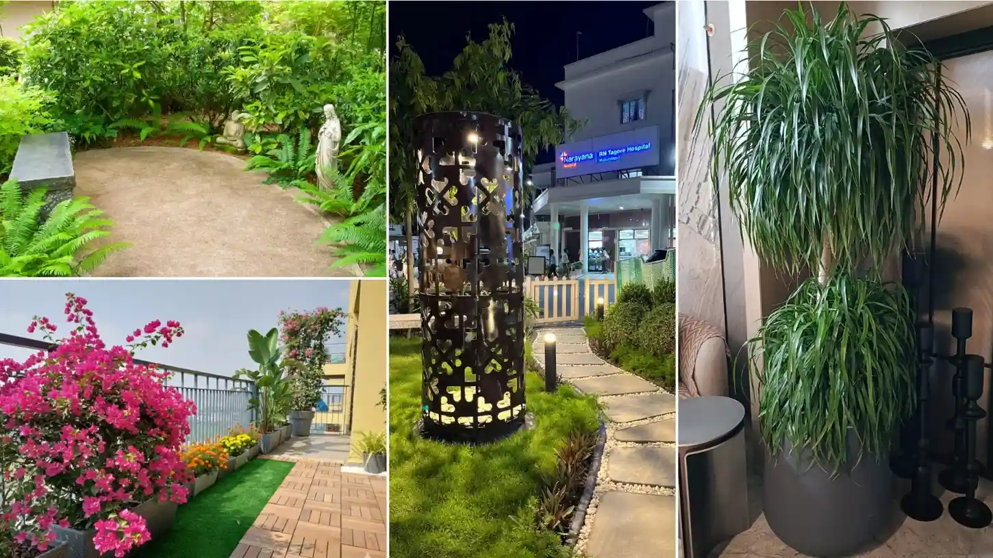 Urban Gardening Concepts & Layouts