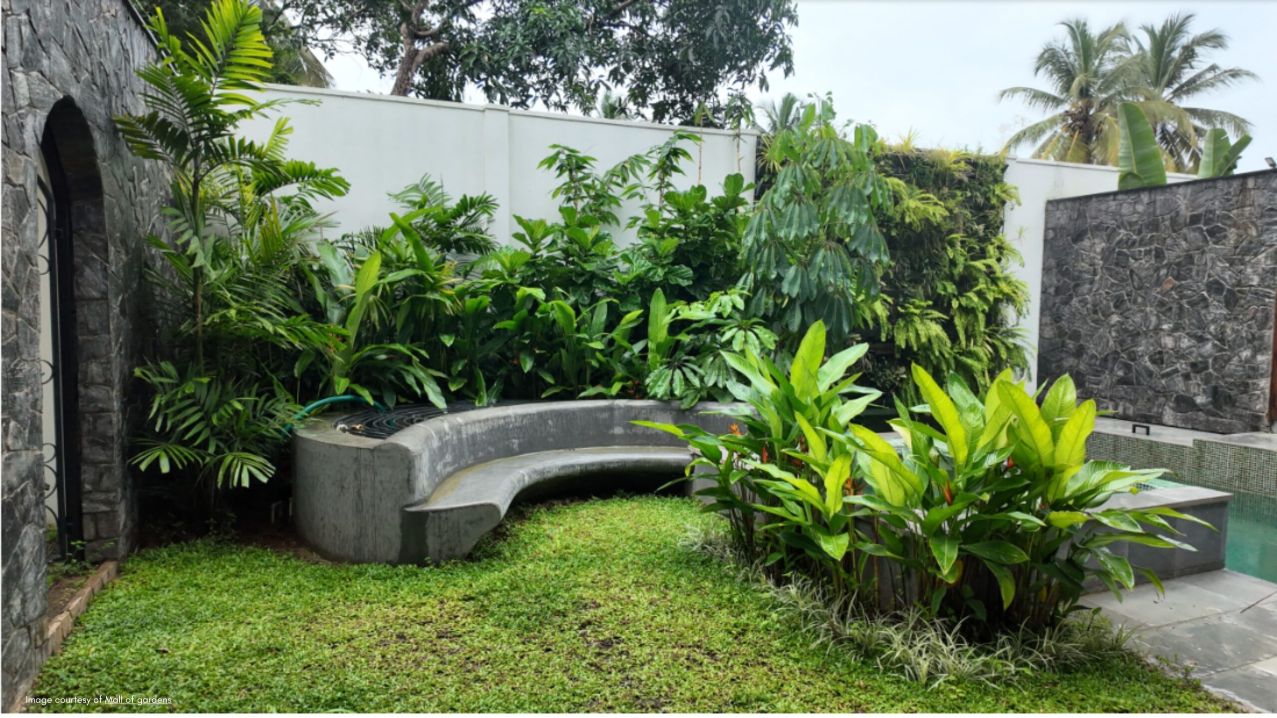Landscaping Cost in Kolkata (2026): Design, Pergolas, Planters , Garden & Outdoor Light Pricing 7 Tropical landscape planting with palms and lush greenery
